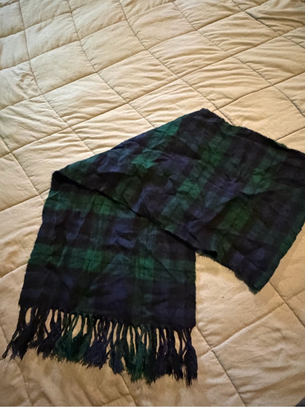 Classic Green & Navy Plaid Fringe Scarf - Unbranded